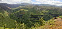 Senior Couple contemplating Waimea canyon in Hawaii by Sami Sarkis Photography