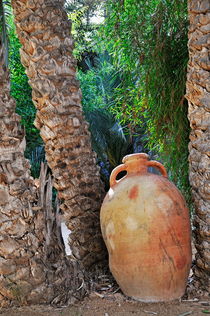 
Clay jar by Palm tree von Sami Sarkis Photography