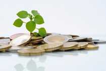 Green shoot growing on euros coins by Sami Sarkis Photography