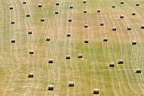 Haystacks bale aligned in field by Sami Sarkis Photography