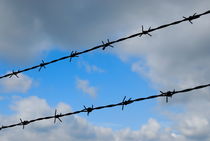 Barbed wires against cloudy sky von Sami Sarkis Photography