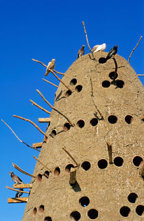 Traditional Egyptian Pigeon House von Sami Sarkis Photography