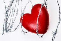 Heart shape surrounded with barbed wire by Sami Sarkis Photography