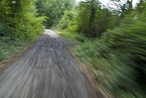 Dirt path and surrounding bush seen from a cyclist's point of view. by Sami Sarkis Photography