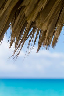 Edge of a sun umbrella straw with blue waters in the background von Sami Sarkis Photography