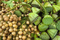 Yellow Grape and Lotus (Nelumbo nucifera) fruits for sale at a food market in Yangshuo von Sami Sarkis Photography