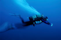 One scuba diver swimming underwater von Sami Sarkis Photography