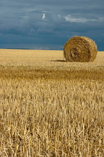 Hay bales in harvested corn field by Sami Sarkis Photography