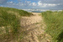 Path on beach leading to Ocean  by Sami Sarkis Photography