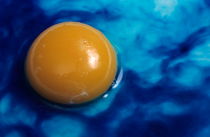 Egg white turning blue due to the practice of genetically modifying food. by Sami Sarkis Photography