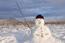 Snowman in snowfield von Sami Sarkis Photography