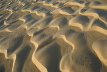 Pattern in desert sand von Sami Sarkis Photography
