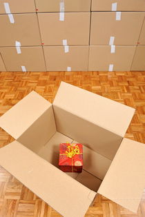 Wrapped gift box inside cardboard box von Sami Sarkis Photography