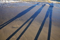 Shadow of family holding hands von Sami Sarkis Photography