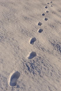 Footprints in snow von Sami Sarkis Photography
