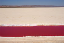 red stream of water in dry salt lake by Sami Sarkis Photography