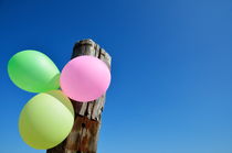 Bunch of colorful balloons on wooden pole von Sami Sarkis Photography