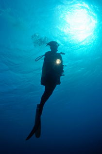 Diver shining torch by sunlight by Sami Sarkis Photography