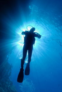 Silhouette of scuba diver rising to surface in sea by Sami Sarkis Photography