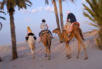 Family riding three camels in desert von Sami Sarkis Photography