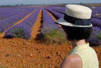 Woman in hat contemplating lavender field by Sami Sarkis Photography