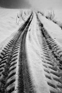 Vehicule tire tracks on hazy and snowy path von Sami Sarkis Photography