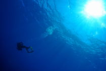 Scuba diver and sunlight in sea by Sami Sarkis Photography