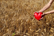 Woman in wheat field holding heart shaped object von Sami Sarkis Photography