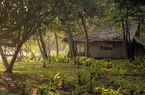 Rural wooden house behind trees by Sami Sarkis Photography