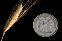 Wheat next to a French fifty franc coin von Sami Sarkis Photography