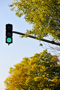 Green traffic light and trees at sping von Sami Sarkis Photography