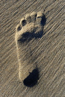 Footprint in sand on beach by Sami Sarkis Photography