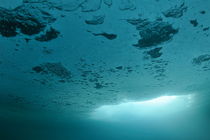 Bubbles and Ice hole underwater by Sami Sarkis Photography