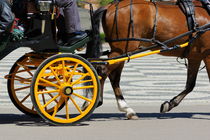 People in horsedrawn carriage on street von Sami Sarkis Photography