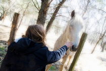 Girl stroking camargue horse at fence by Sami Sarkis Photography