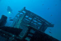 Diver exploring shipwreck von Sami Sarkis Photography