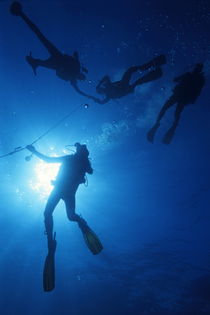 Scuba Divers silhouettes  by Sami Sarkis Photography