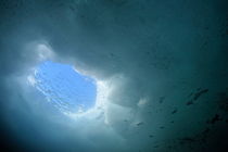 Daylight through ice hole von Sami Sarkis Photography