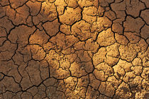 Cracks on dry ground in summer by Sami Sarkis Photography