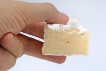 Slice of camembert cheese in hand by Sami Sarkis Photography