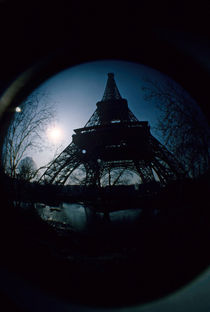 Eiffel Tower surrounded by bare trees on a winter's day von Sami Sarkis Photography