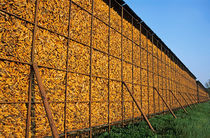 Cages of drying corn on a farm in IsËre von Sami Sarkis Photography