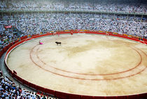 Crowds watching a bullfight during the July San Firmin fiesta in Pamplona von Sami Sarkis Photography