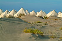 Rows of white tents on sandy dunes at Windsurfer Campsite von Sami Sarkis Photography