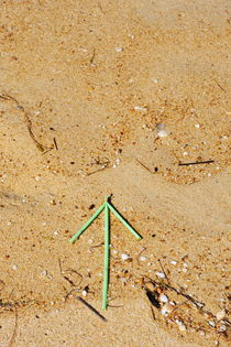 Green plastic arrow on sand by Sami Sarkis Photography