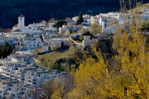 View of Capileira village in the Alpujarras Mountains von Sami Sarkis Photography