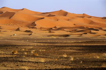Natural patterns formed in large sand dunes von Sami Sarkis Photography