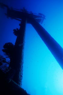 Looking up at the mast of the Dalton Shipwreck by Sami Sarkis Photography