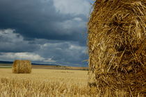 Hay bales in harvested corn field by Sami Sarkis Photography