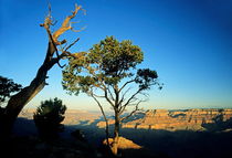 Sunrise over the Grand Canyon National Park by Sami Sarkis Photography